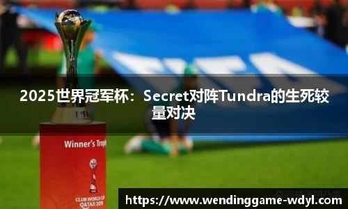 2025世界冠军杯：Secret对阵Tundra的生死较量对决